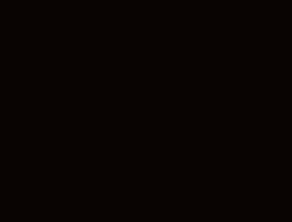 Next Street Corporation logo