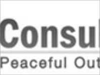 Whiz Consulting logo